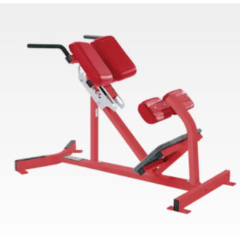 45 Degree Adjustable Roman Chair Back Extension Machine